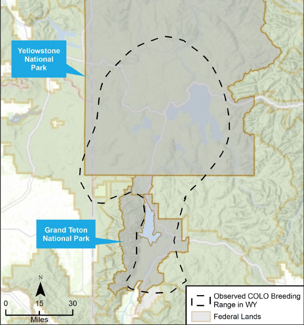 Loon map